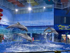 -多彩贵州城极地海洋世界