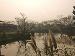 -木守西溪溪隐餐厅