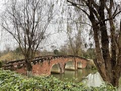 -白鹭湾湿地公园