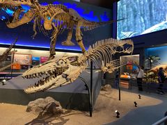 -贝林大翅鲸简餐厅(国家海洋博物馆店)