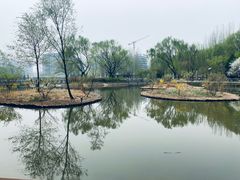 -将府公园