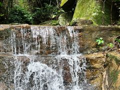 -梧桐山风景名胜区