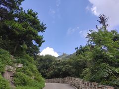 -木兰云雾山
