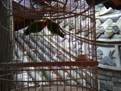 -鱼桥巷·美学川菜