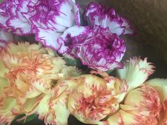 -今鲜源大酒店·中华餐饮名店(新湛路店)