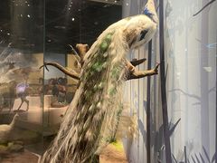 -陕西自然博物馆