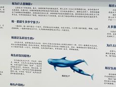 -上海海洋大学鱼文化博物馆(军工路校区)