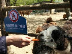 -西安秦岭野生动物园