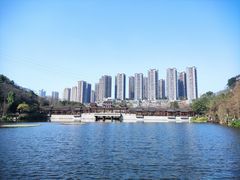 -重庆彩云湖湿地公园