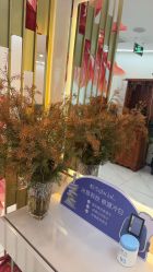 -时光畔·酷雪·痘肌