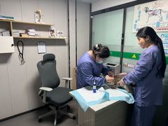 -半岛宠物医院24小时(科华中路店)