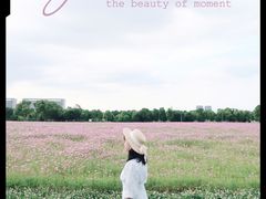 -无锡新湖铂尔曼大酒店