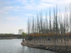 -大兴滨河森林公园