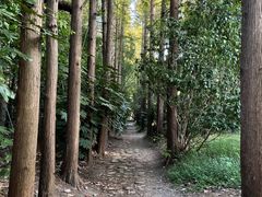 -滨江森林公园-真人CS野战场