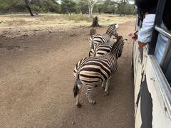 -卡塞拉自然公园