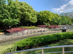 -苏州河梦清园环保主题公园