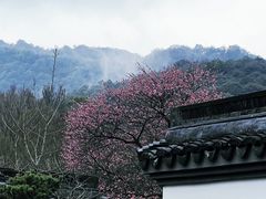 -杭州植物园