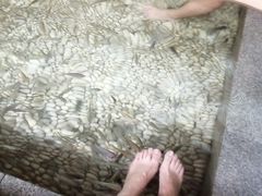 -明谷行馆·温泉