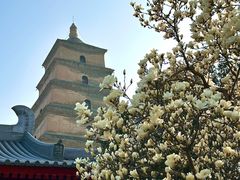 -大慈恩寺(大雁塔)