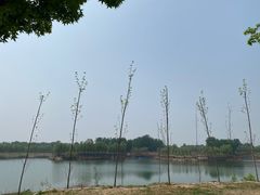 -黄河富景生态世界