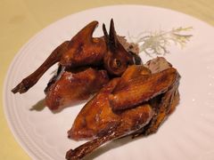 红烧乳鸽-惠食佳(滨江大公馆店)