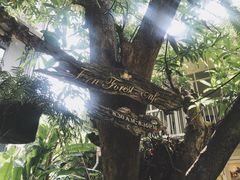 -Fern Forest Cafe