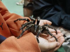 -藦茜花园宠物主题亲子互动体验馆(国顺东路店)