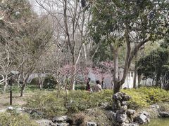 -秋霞圃