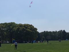 -东方绿舟景区