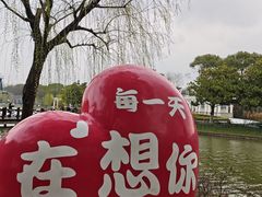 -上海鲜花港
