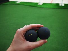 -健身专家Wellness Experts