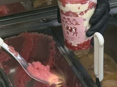 -鹤茶野所(上海首店)