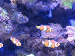 -多彩贵州城极地海洋世界