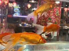 -粗粮人家(簋街店)