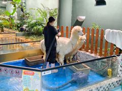 -上海大自然野生昆虫馆(东方明珠·爬宠昆虫探索中心)