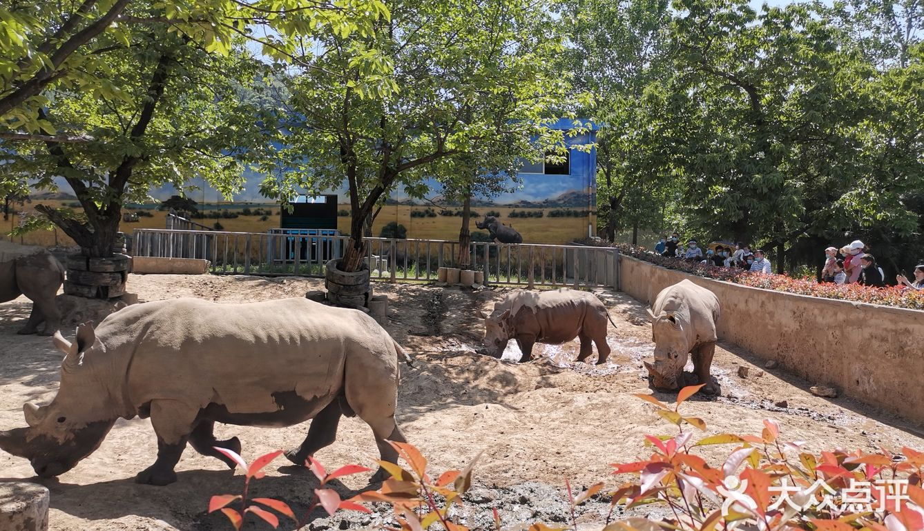 秦嶺野生動物園