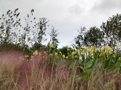 -汉长安城未央宫国家考古遗址公园