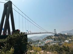 -西霞口神雕山野生动物世界