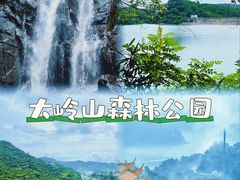 -东莞市大岭山森林公园