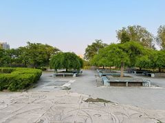 -太阳宫公园