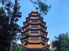 -铁山坪森林公园