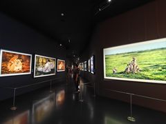 -罗红摄影艺术馆