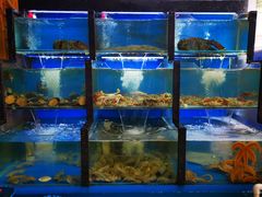 水产区-老东镇啤酒屋海鲜加工·蒸汽海鲜·海鲜烧烤(台东店)