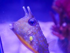 -太平洋海底世界