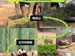 -济南野生动物世界