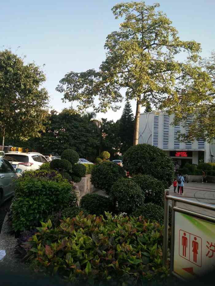 大沥镇文化站黄岐文化中心-综合楼-"今天是我宝宝芯芯的公演,好多小