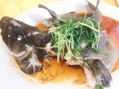 -蚝专家(北滘店)