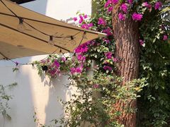 -云里小坐·小院里·团建·宴请·下午茶(三圣乡店)