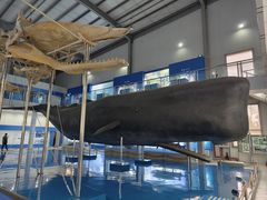 -上海海洋大学鱼文化博物馆(军工路校区)
