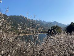 -广州市流溪河国家森林公园